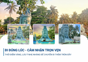 Kinh nghiệm từ Insider_ Thời điểm vàng và lưu ý khi tham quan