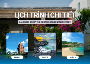 Lịch Trình Đề Xuất Trọn Vẹn 3 Ngày 2 Đêm Từ Stelia Beach Resort