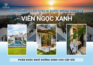Lý Do Stelia Là Resort Lãng Mạn NHẤT Phú Yên
