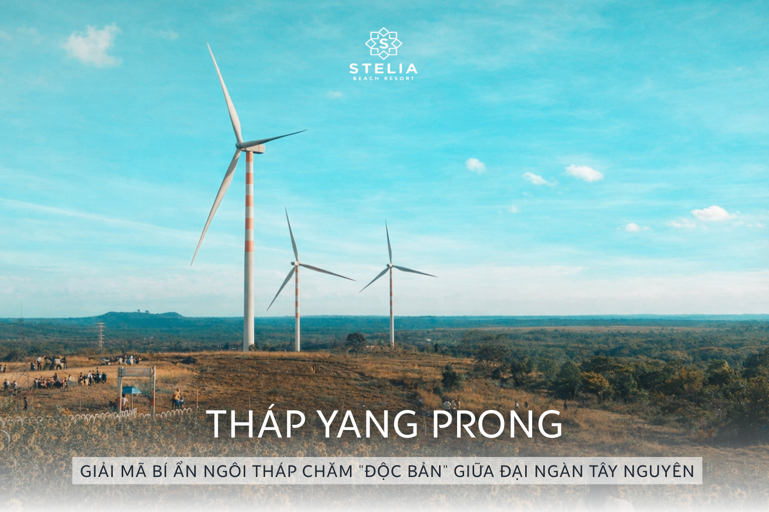 Review Cánh Đồng Quạt Gió Dlieyang (Ea H'leo) 2026_ Lộ Trình _Săn Gió Đại Ngàn - Đón Sóng Biển Xanh_ Chi Tiết Nhất