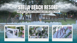 Stelia Beach Resort - Nơi Ý Tưởng Trở Thành Hiện Thực Hoàn Hảo