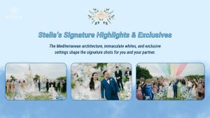 Stelia’s Signature Highlights & Exclusives