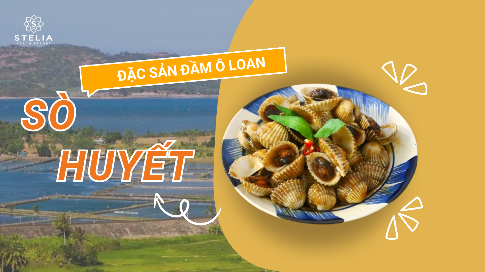 Sò huyết đầm Ô Loan và những món hải sản tươi ngon