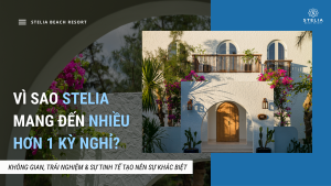 Tại Sao Chọn Stelia là Lựa Chọn Hoàn Hảo cho Kỳ Nghỉ Dưỡng