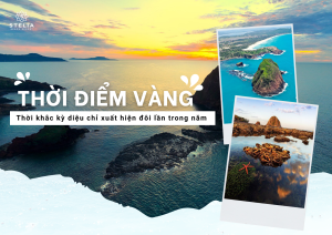 Thời Điểm _Vàng_ và Hướng Dẫn Chi Tiết Để Chiêm Ngưỡng San Hô Lộ Thiên Độc Nhất Vô Nhị