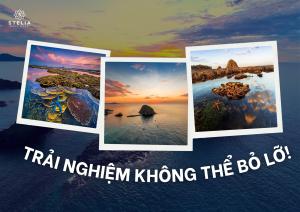 Top Trải Nghiệm Không Thể Bỏ Lỡ Tại Quần Thể Danh Thắng Quốc Gia Hòn Yến 