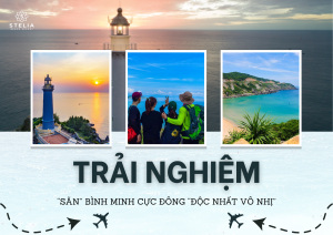 Trải Nghiệm _Săn_ Bình Minh Cực Đông Độc Nhất Vô Nhị_ Hướng Dẫn Chi Tiết