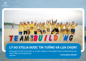 Vì Sao Doanh Nghiệp Lớn Chọn Stelia Beach Resort Làm “Sân Chơi” Gắn Kết