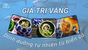 giá trị dinh dưỡng mắt cá ngừ