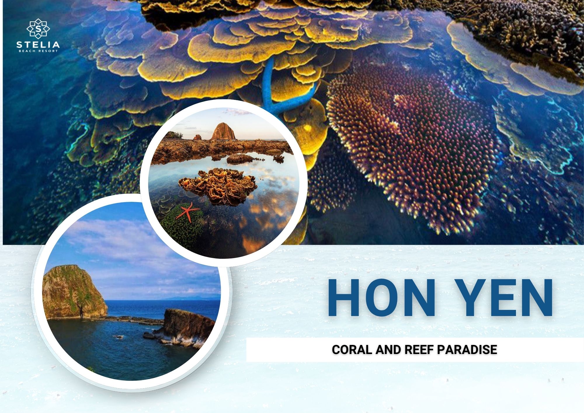 hon yen - Coral and reef paradise