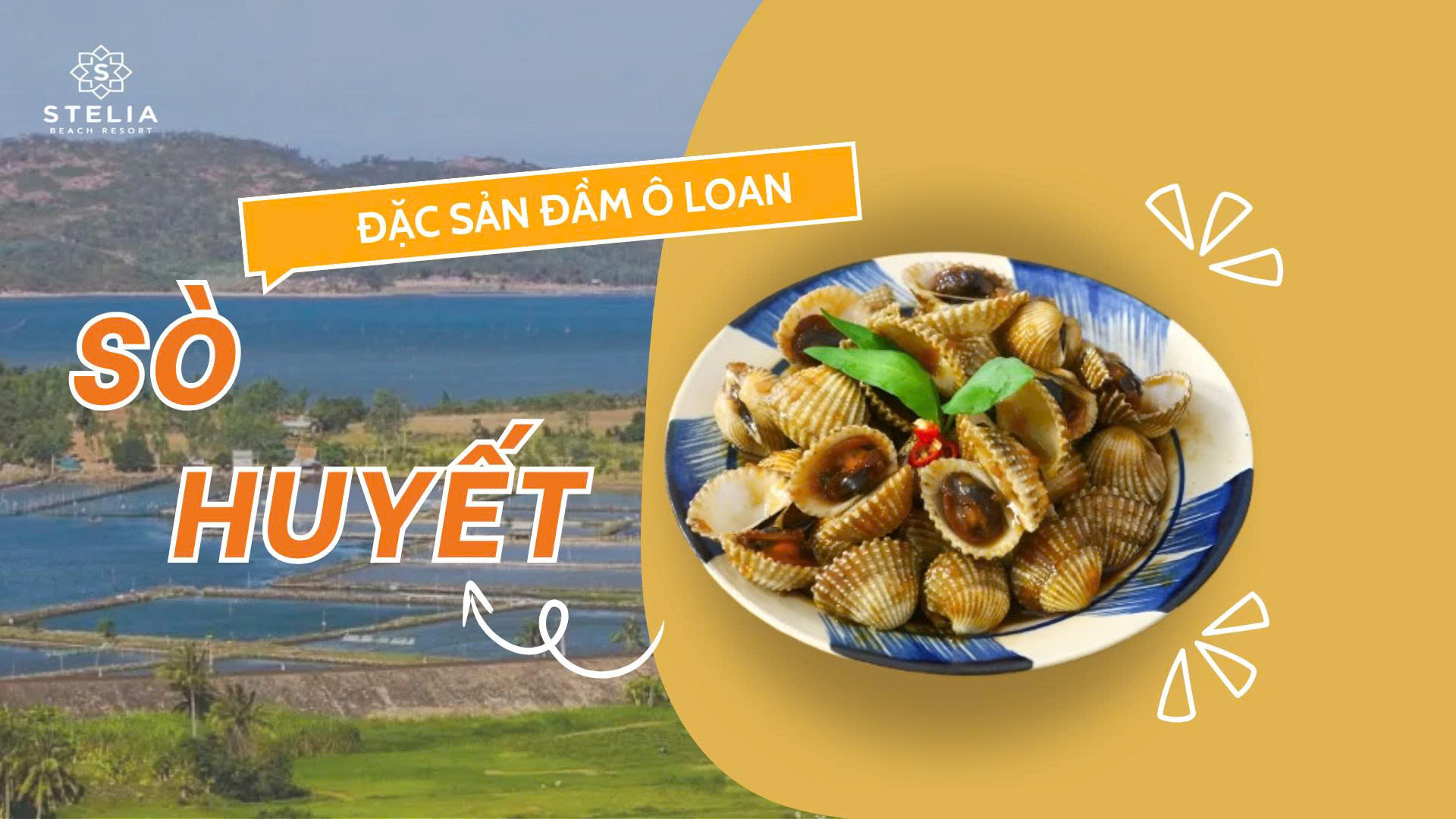 Sò huyết đầm Ô Loan