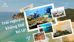 vũng rô trãi nghiệm không thể bỏ lỡ