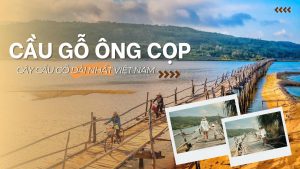 cây cầu gỗ dài nhất việt nam